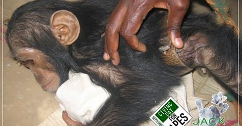 41722256_461689687685222_4015079554518351872_n